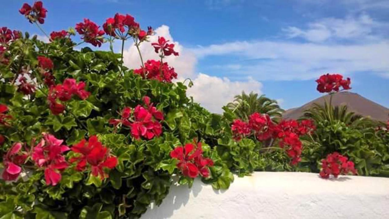 فيلا Cozy House In El Golfo + Terrace المظهر الخارجي الصورة