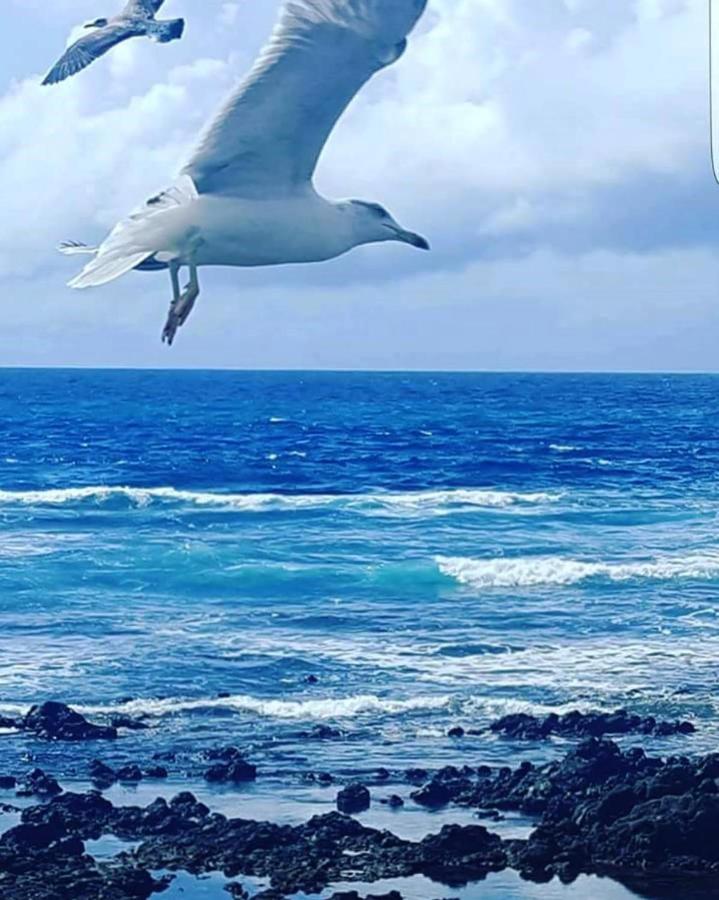 فيلا Cozy House In El Golfo + Terrace المظهر الخارجي الصورة